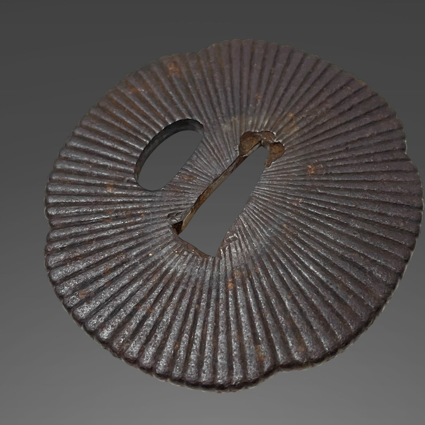 Short Wakizashi, Amidayasuri Tsuba, Edo period mumei