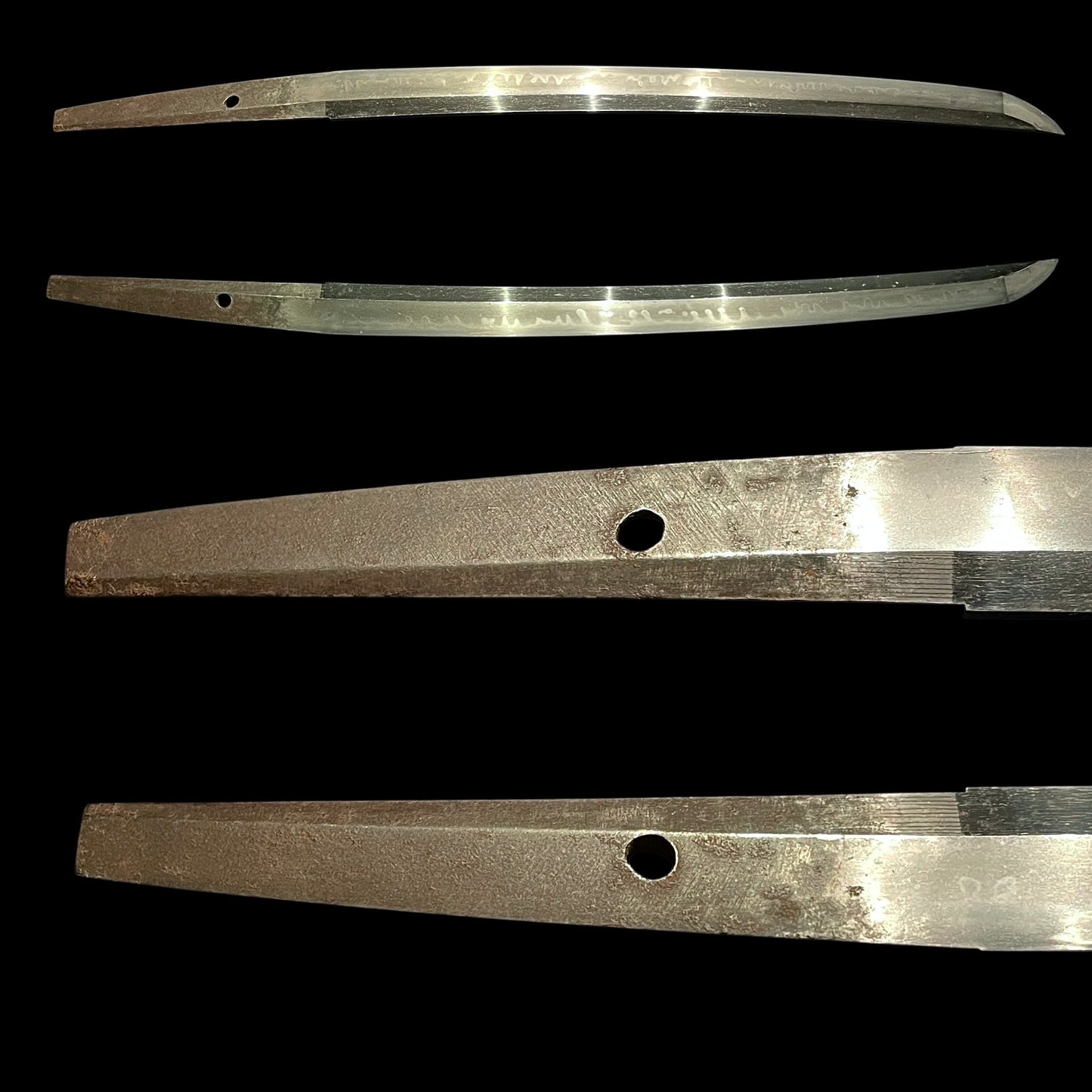 Fish and shellfish Fittings, Amazing Hamon Wakizashi, Edo period mumei