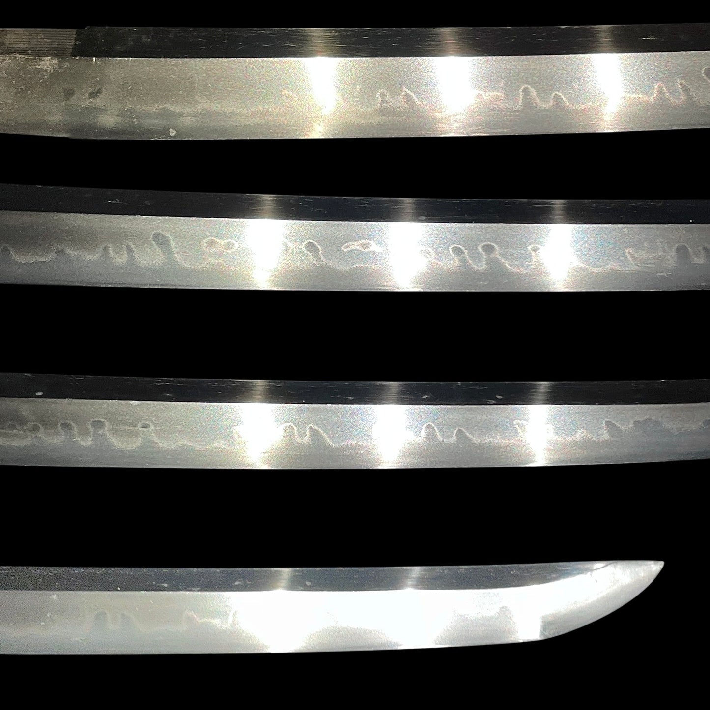 Fish and shellfish Fittings, Amazing Hamon Wakizashi, Edo period mumei