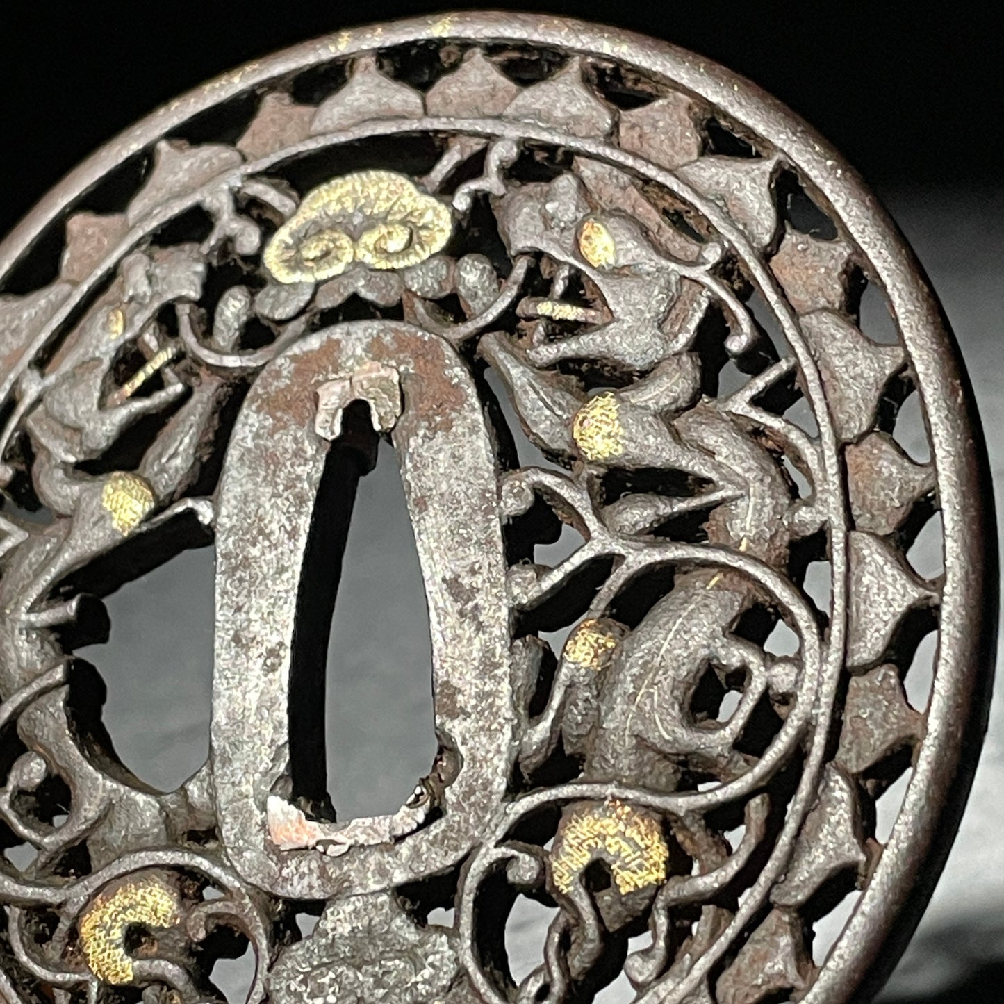 双龍透上手南蛮 Soryusukashi Jote Nanban TSUBA, Edo period, with BOX