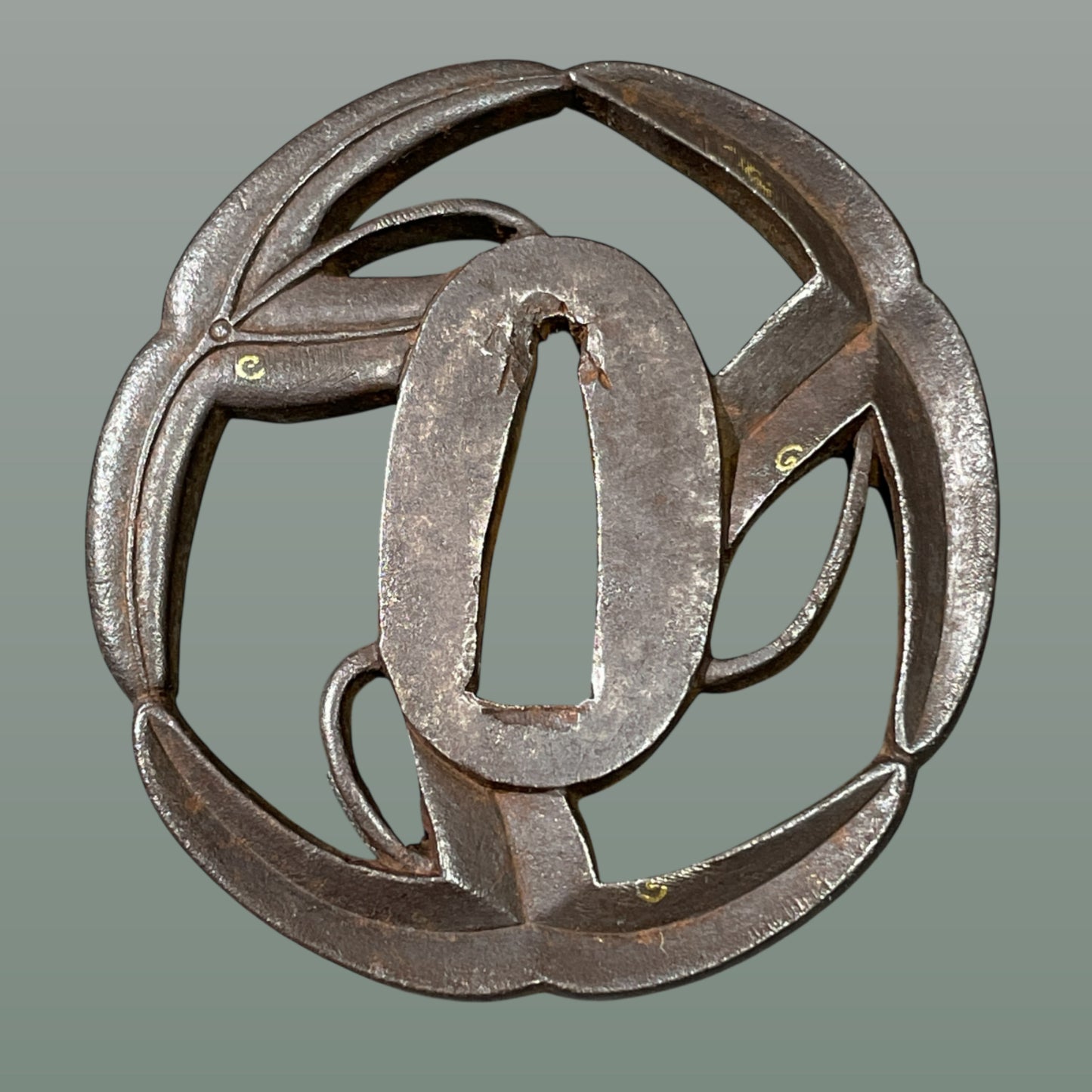 Omodaka Sukashi Thick TSUBA 沢潟透鍔, Edo period, Iron back, With BOX