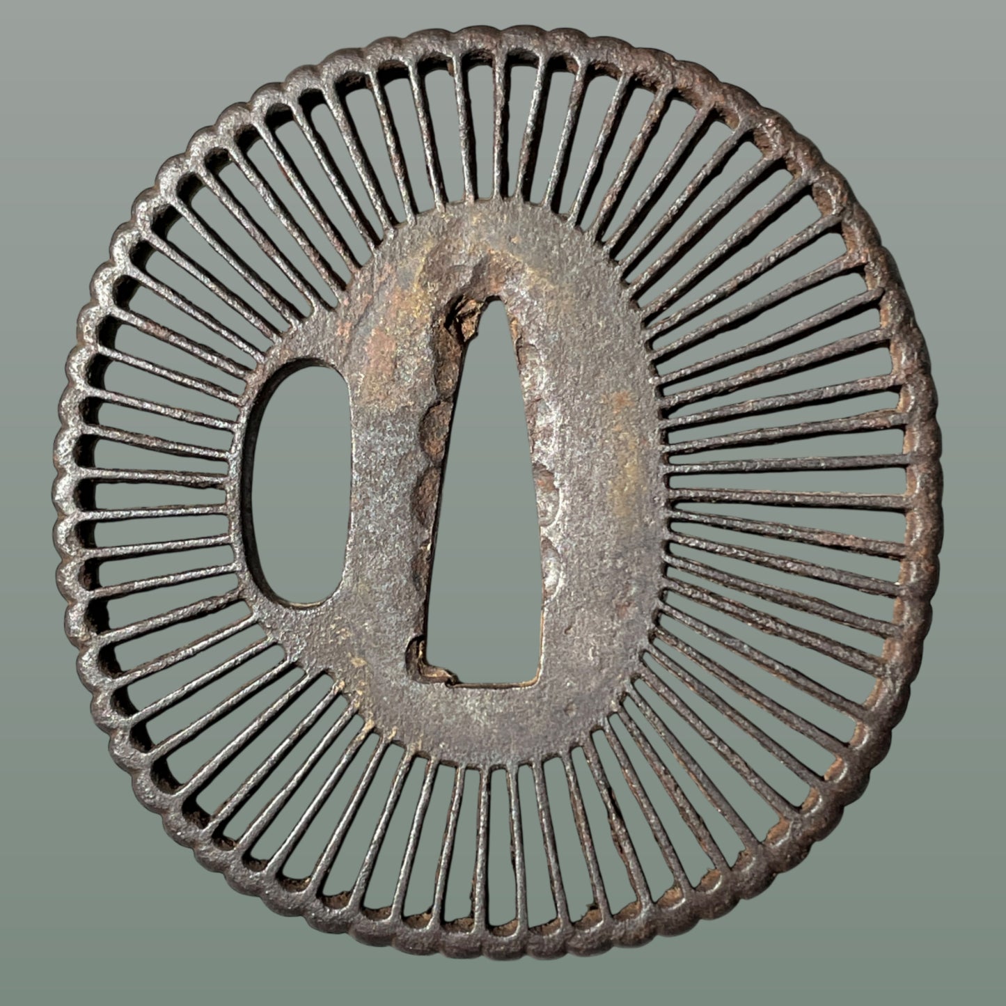 Kyosukashi 京透, Saotome 早乙女 TSUBA, Iron back, Edo period, with BOX