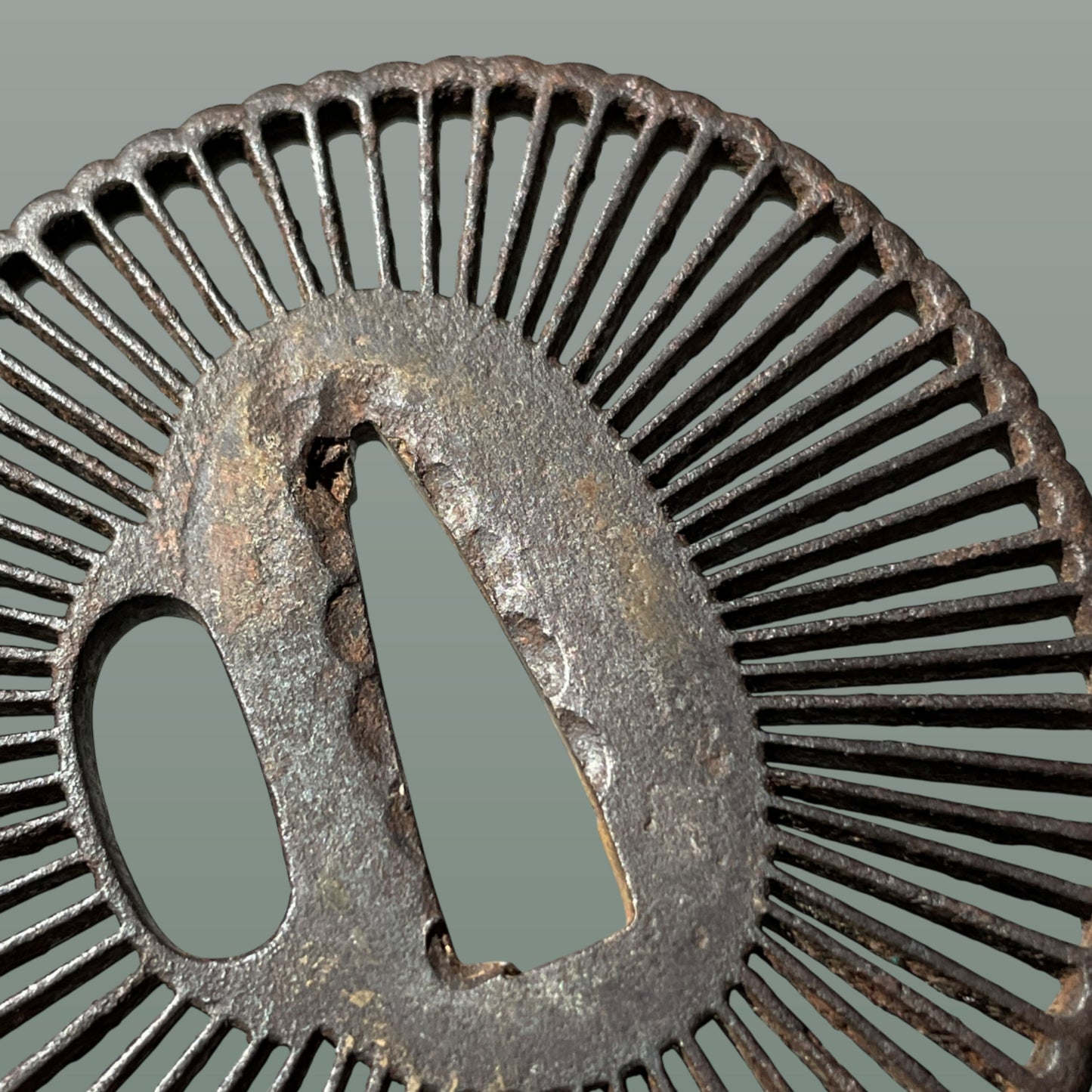 Kyosukashi 京透, Saotome 早乙女 TSUBA, Iron back, Edo period, with BOX