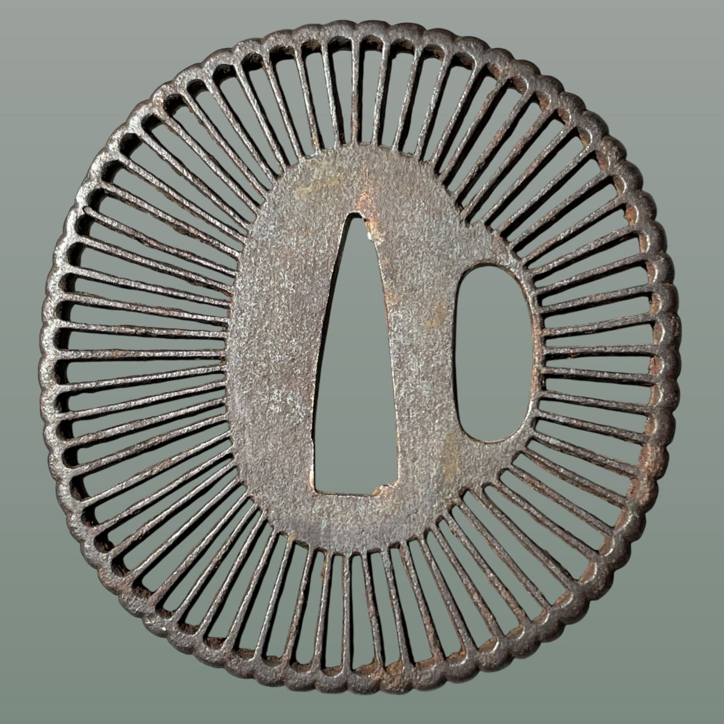 Kyosukashi 京透, Saotome 早乙女 TSUBA, Iron back, Edo period, with BOX