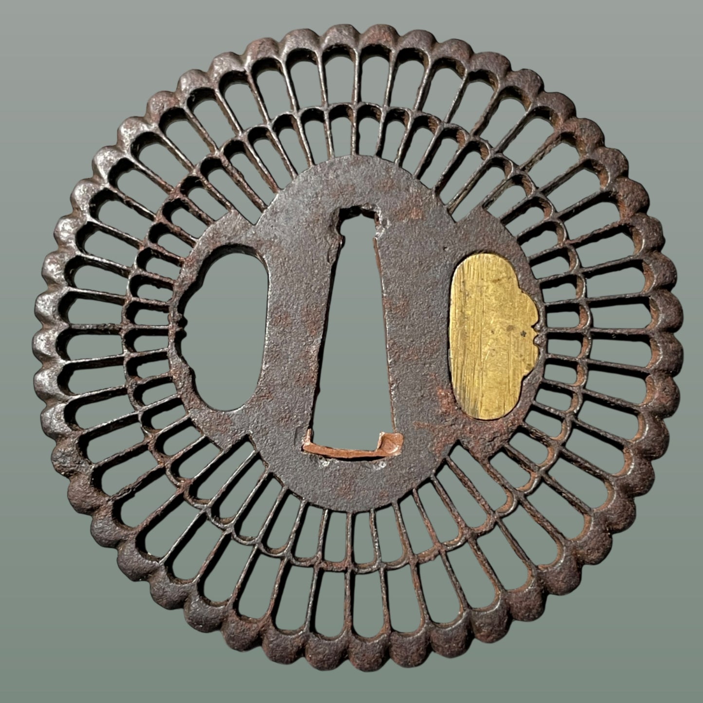 Kikka Sukashi(菊花透), Chrysanthemum TSUBA, Iron back, Edo period, with BOX