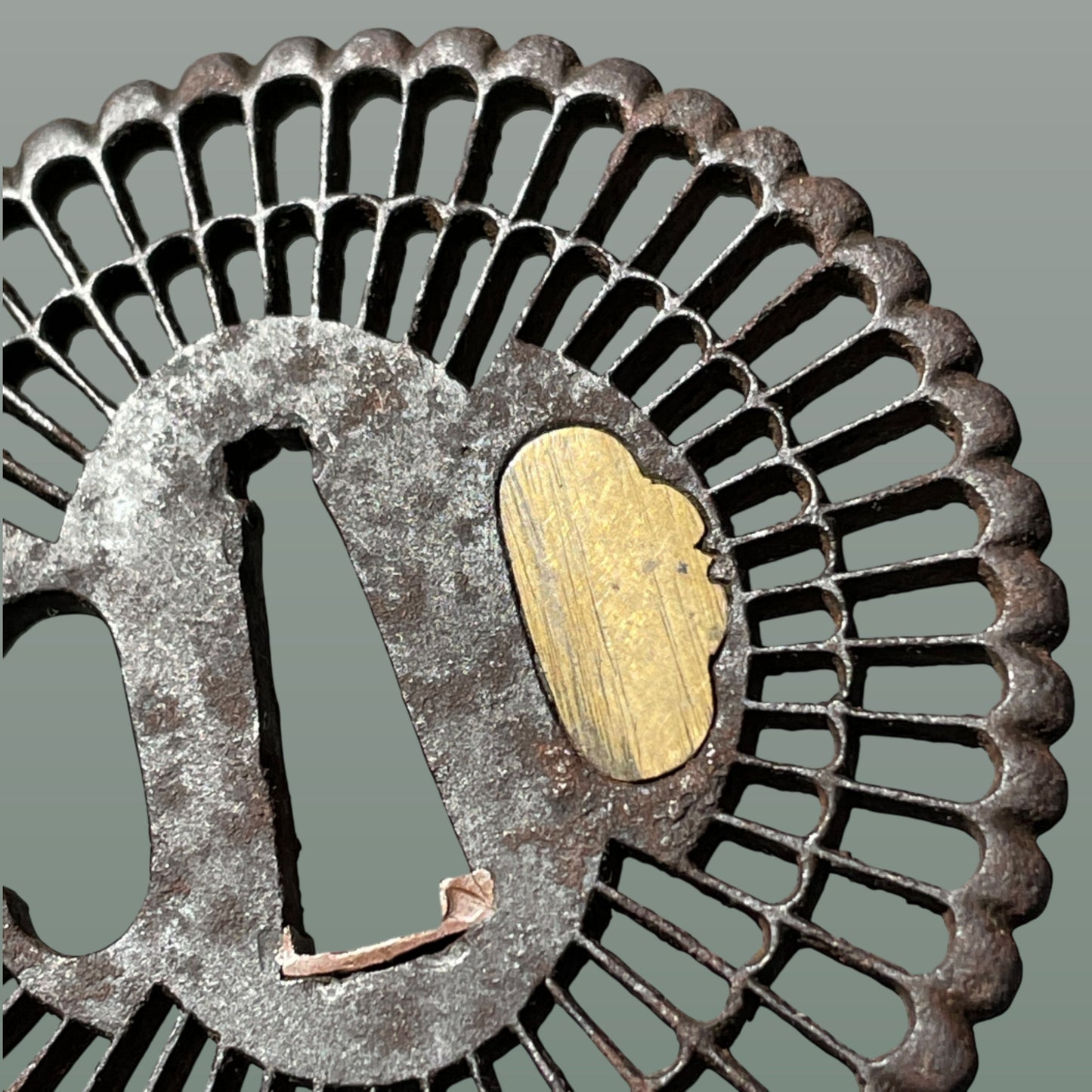Kikka Sukashi(菊花透), Chrysanthemum TSUBA, Iron back, Edo period, with BOX
