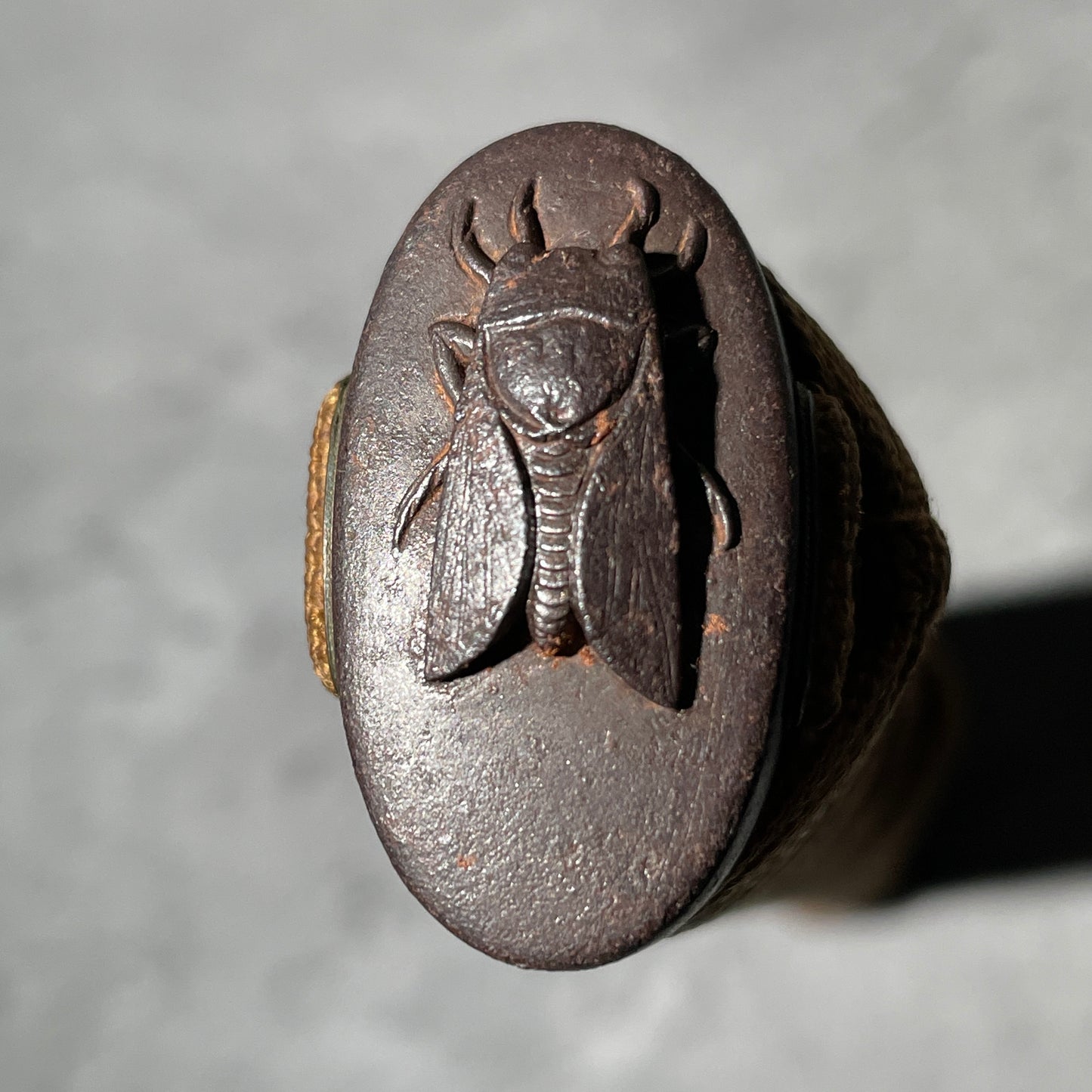 Cicada Kashira Tsukamae 蝉頭柄前 for Wakizashi, Edo period
