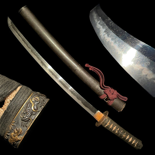 Dragon and Tiger Fuchi 龍虎縁 WAKIZASHI, Botan shishi Menuki 牡丹獅子目貫, Edo period