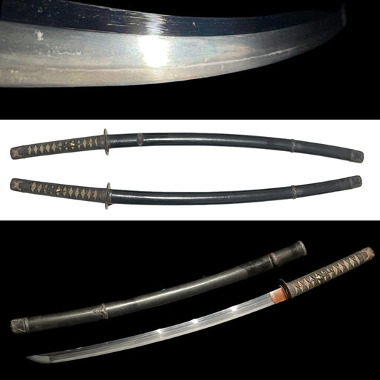 Handachi Koshirae Long WAKIZASHI, Iron Fittings, Carp Menu, Edo period mumei