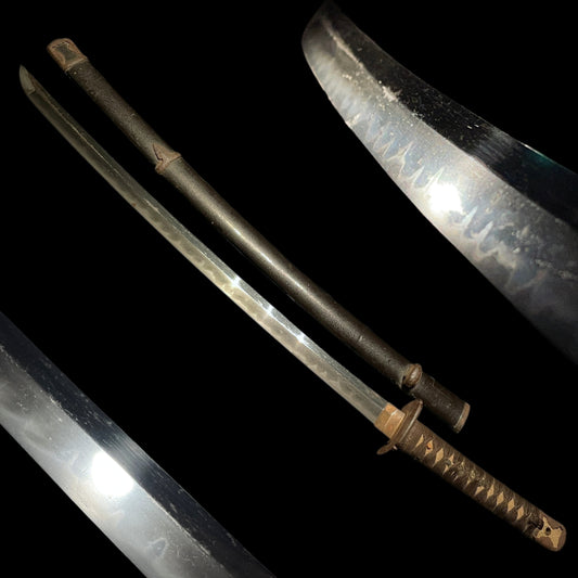 Handachi Koshirae 半太刀拵 Long WAKIZASHI, Iron Fittings, Edo period mumei