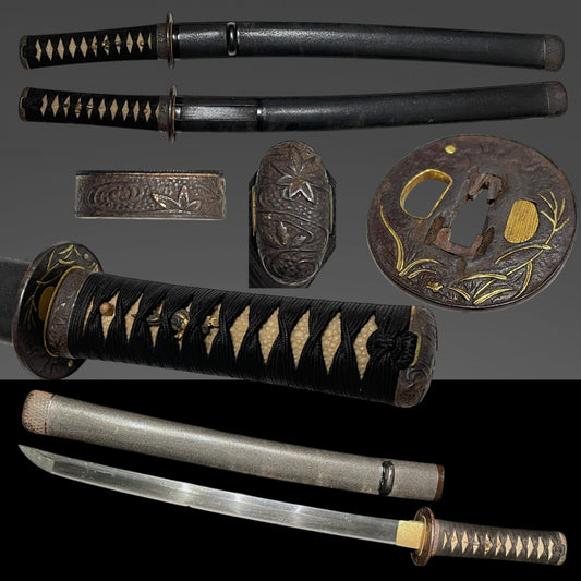 Autumn Plant Fittings Wakizashi, Susuki and Moon Tsuba, Edo period mumei