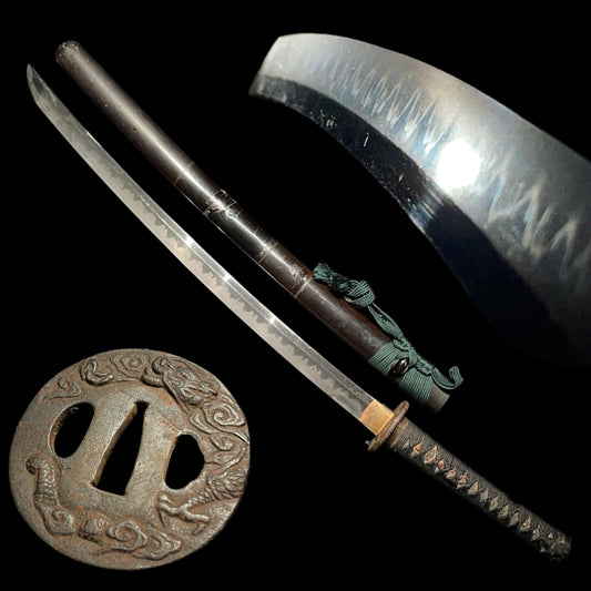 Amazing Hamon WAKIZASHI, Dragon Tsuba, Oosaka Shinto 大阪新刀, Edo period