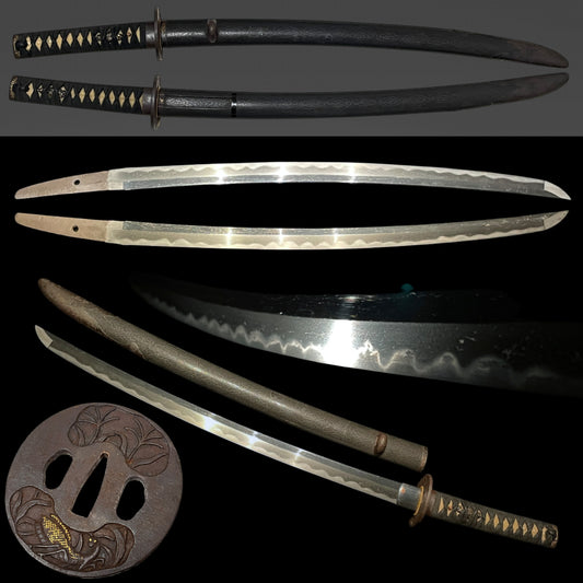 Toppei Koshirae 突兵拵 Long Wakizashi, Mantis Tsuba 蟷螂鍔,  Bishuju Morimitsu 備州住守光 signed