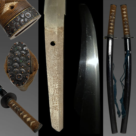 Tanbanokami Fujiwara Terukado 丹波守藤原照門 signed Wakizashi, Pine needles Fuchikashira