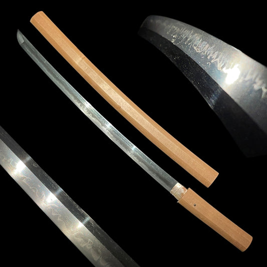 *STR購入※良型　ジャワコ−カサス　♂野外標本 Products – Page 9 – Tokyo Sword