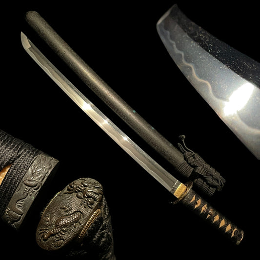 Dragon Fittings WAKIZASHI, Edo period mumei, with Shirasaya