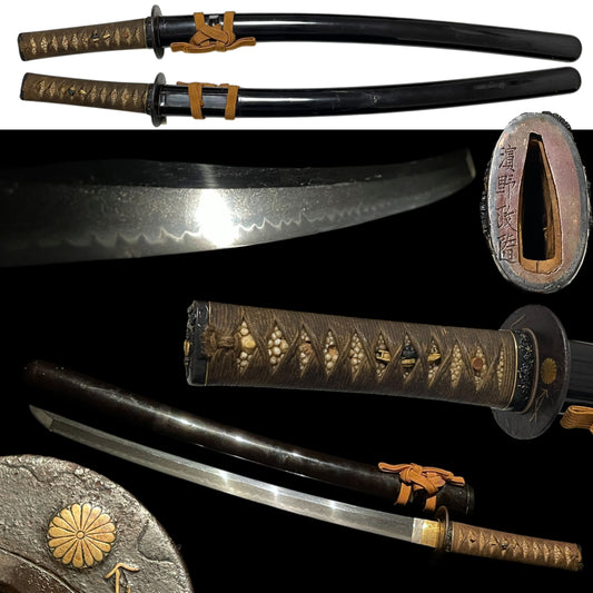 Harimanokami Teruhiro 播磨守輝廣 signed WAKIZASHI, Hamano shozui 濱野政随 Fuchi