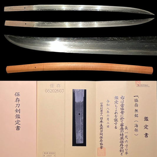 Nagamaki Naoshi Style Wakizashi, Kaifu 海部, Muromachi period, NBTHK Certificate