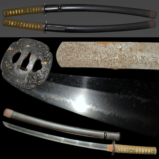 Hizenkokuju Tadayoshi 肥前国住忠吉 signed WAKIZASHI, Moth Large Kojiri, Edo period