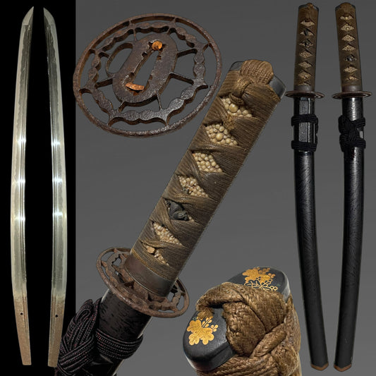 Bohi Wakizashi, Gosannokiri 五三の桐 Kashira, Edo period mumei
