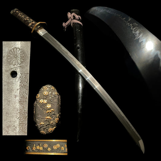 KIKUMON 菊紋 Long Wakizashi, Kawachinokami Sukesada 河内守祐定 signed, Edo period