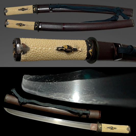 Shobuzukuri Aikuchi Wakizashi, Takarazukushi Fuchikashira, Muromachi period mumei