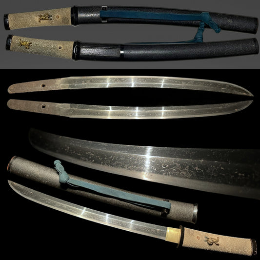 Shobuzukuri Aikuchi Wakizashi 菖蒲造合口脇差, Golden Shishi Menuki, Edo period mumei