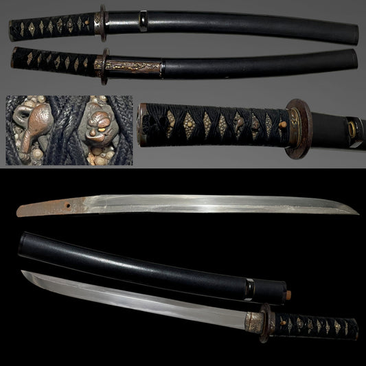Shobuzukuri Wakizashi, Tiger Menuki, with Kozuka, Edo period mumei