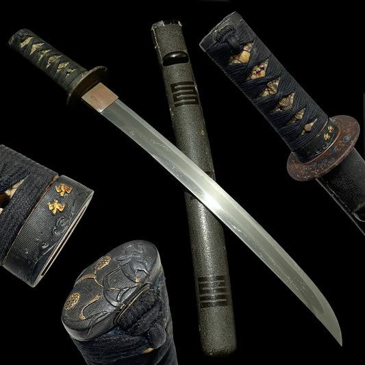 Shobuzukuri Wakizashi 菖蒲造脇差, High-Grade Tsukamae Edo period mumei