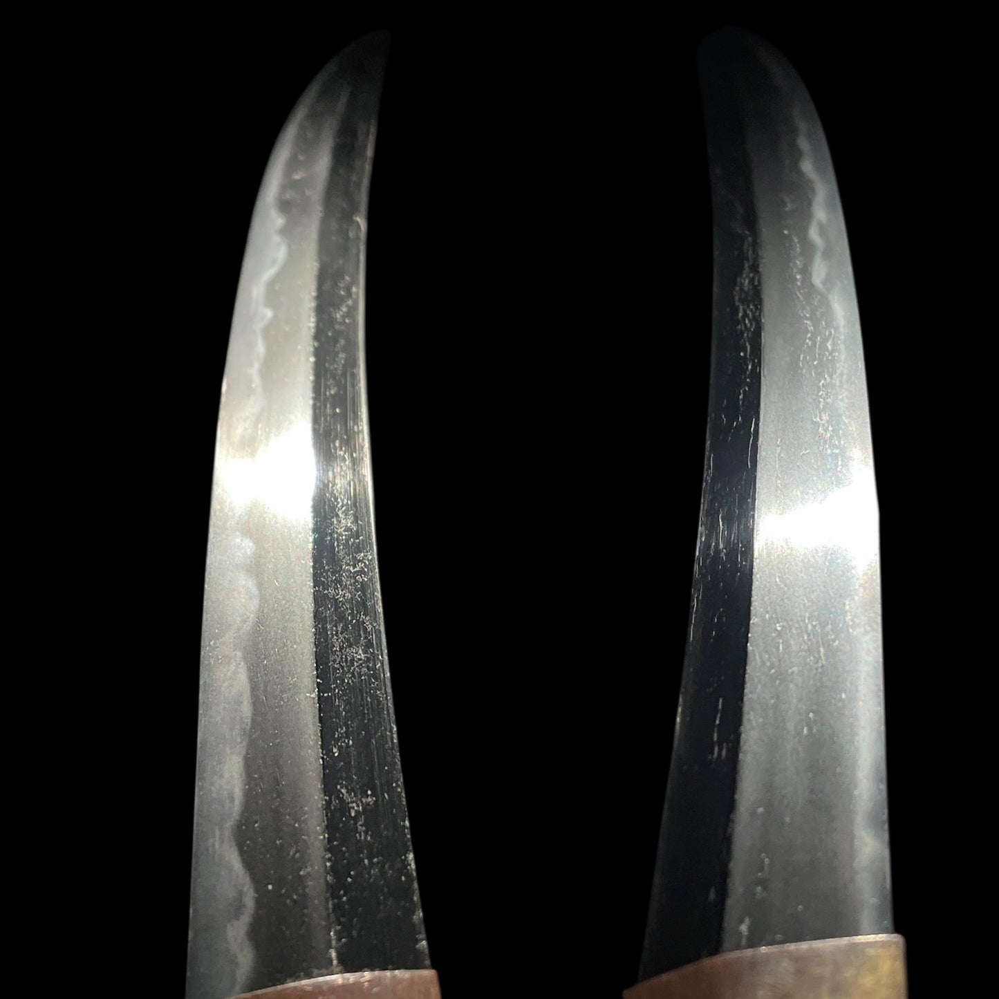 Shobuzukuri Wakizashi 菖蒲造脇差, Torame-Shirasaya 虎目白鞘, Edo period mumei