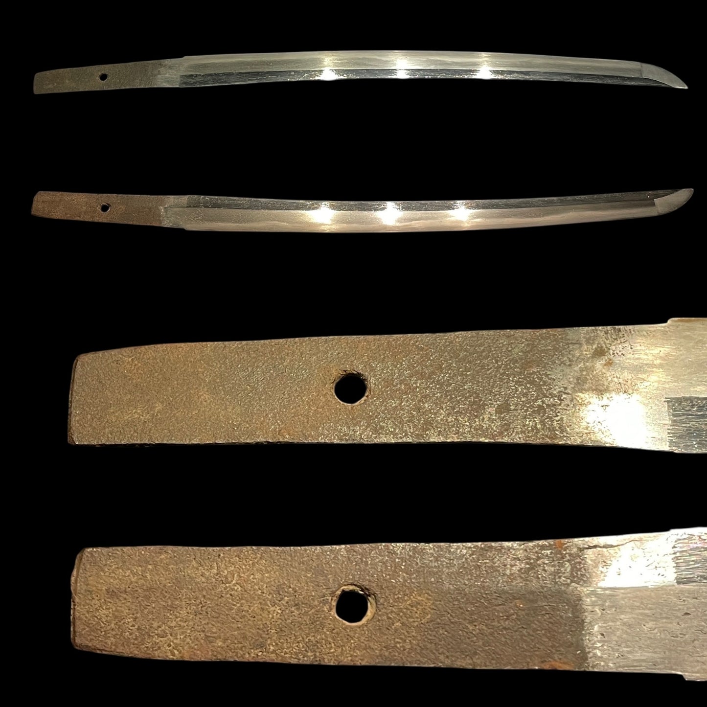 Plum Tsuba Short Wakizashi, Butterfly Fuchi, Edo period mumei