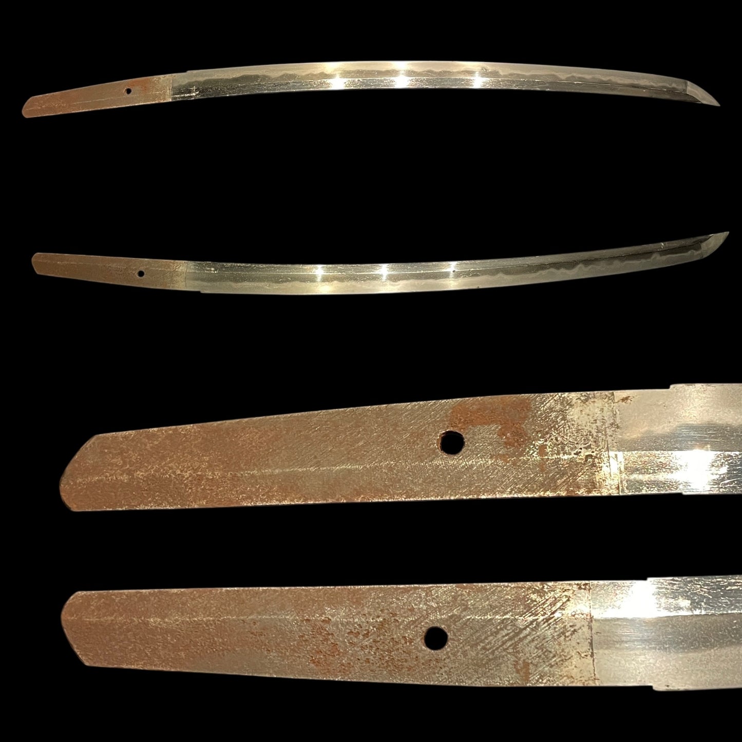 Dragon and Tiger Fuchi 龍虎縁 WAKIZASHI, Botan shishi Menuki 牡丹獅子目貫, Edo period