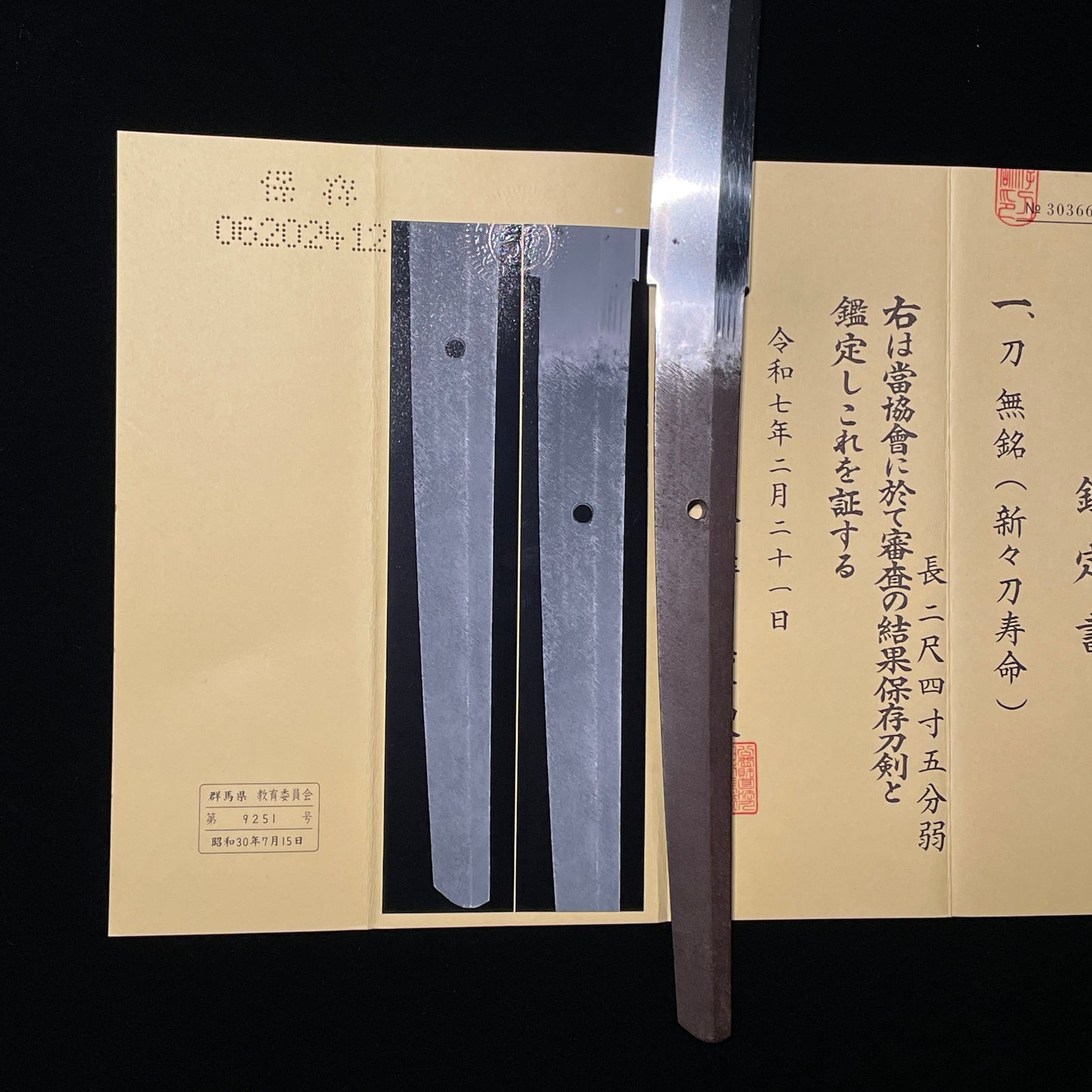 Shinshinto Jumyo 新々刀寿命, Long and Heavy KATANA,  Nagasa 740mm (29.13 in)