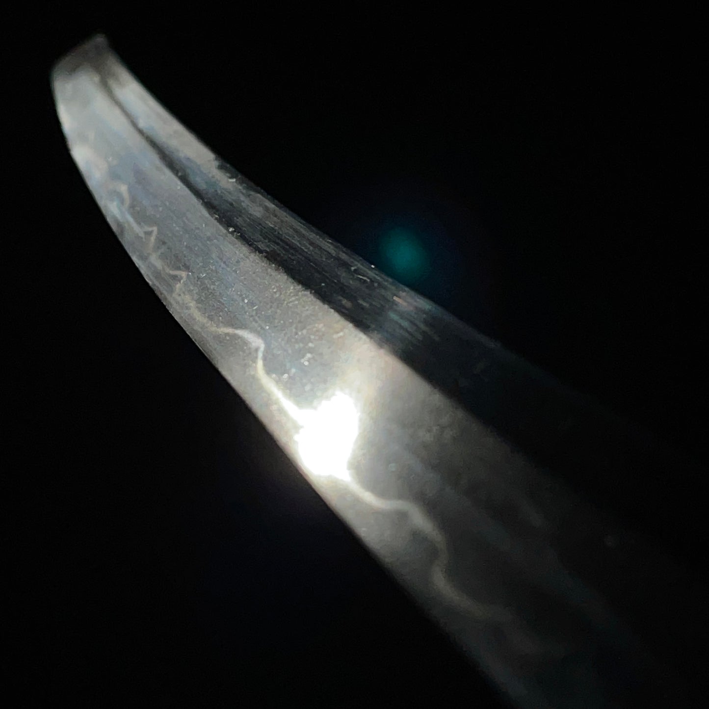 Long WAKIZASHI, Spider Web Kojiri, Signed Tosho TSUBA, Rayskin Scabbard