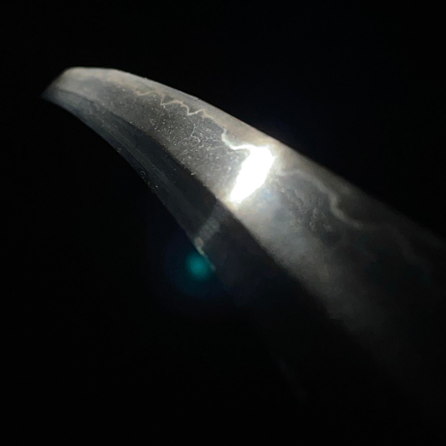 Long WAKIZASHI, Spider Web Kojiri, Signed Tosho TSUBA, Rayskin Scabbard