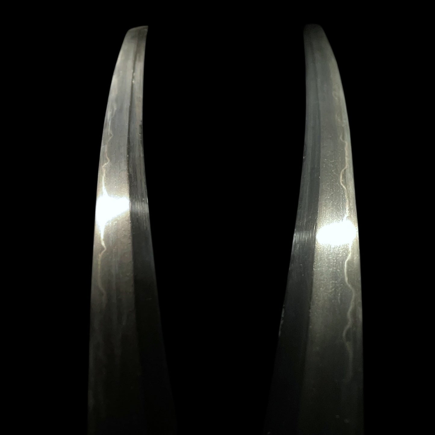 Long WAKIZASHI, Spider Web Kojiri, Signed Tosho TSUBA, Rayskin Scabbard