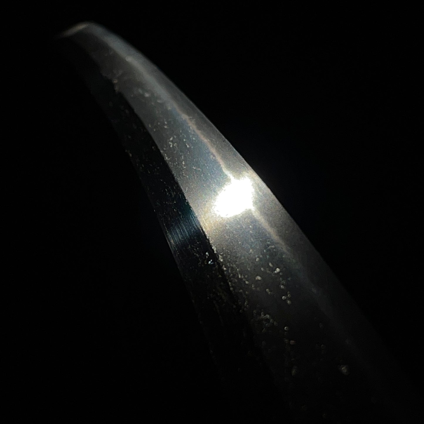 Echizenkoku Kanenori 越前国兼則 signed Wakizashi, Bee Menuki and Iron Fittings