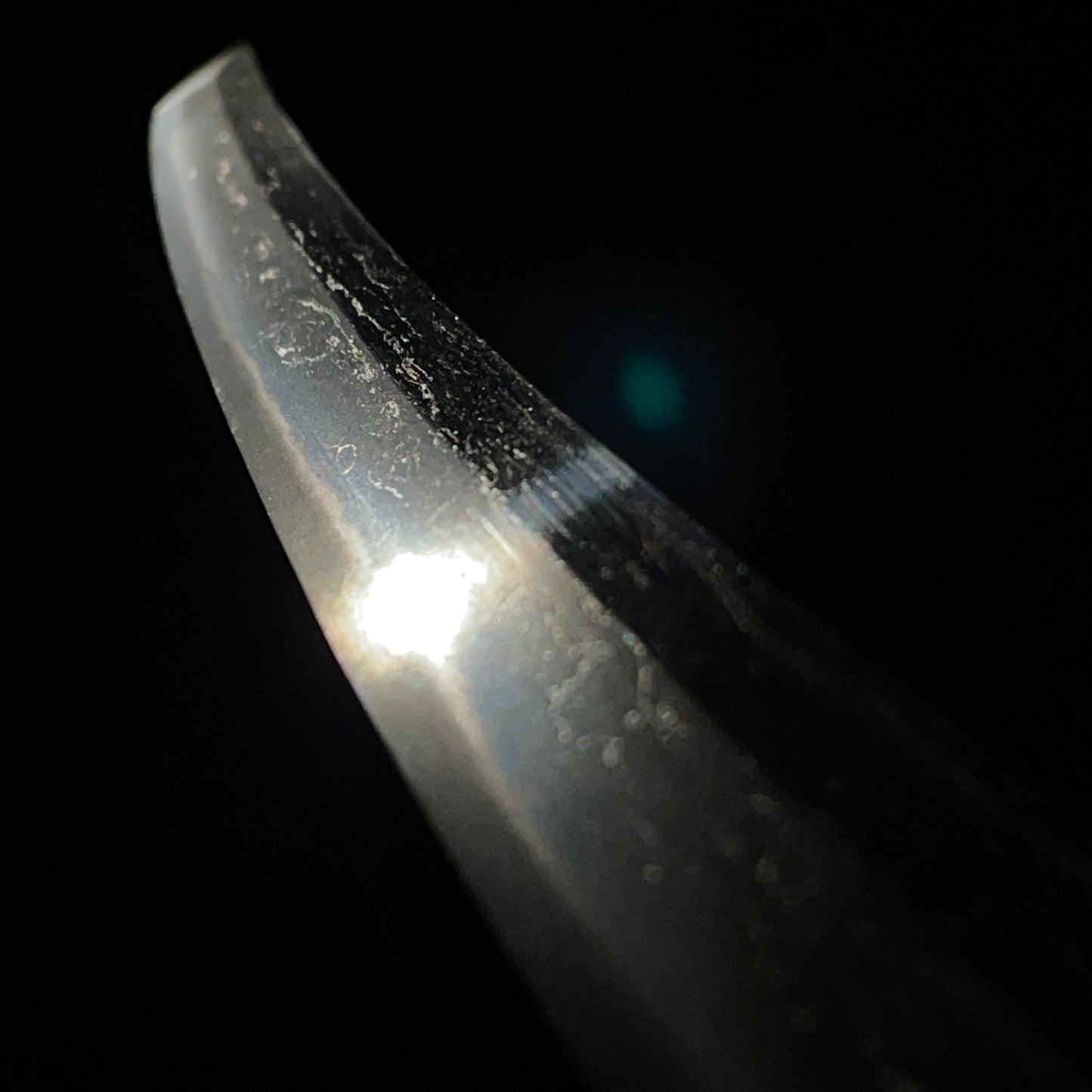 Echizenkoku Kanenori 越前国兼則 signed Wakizashi, Bee Menuki and Iron Fittings