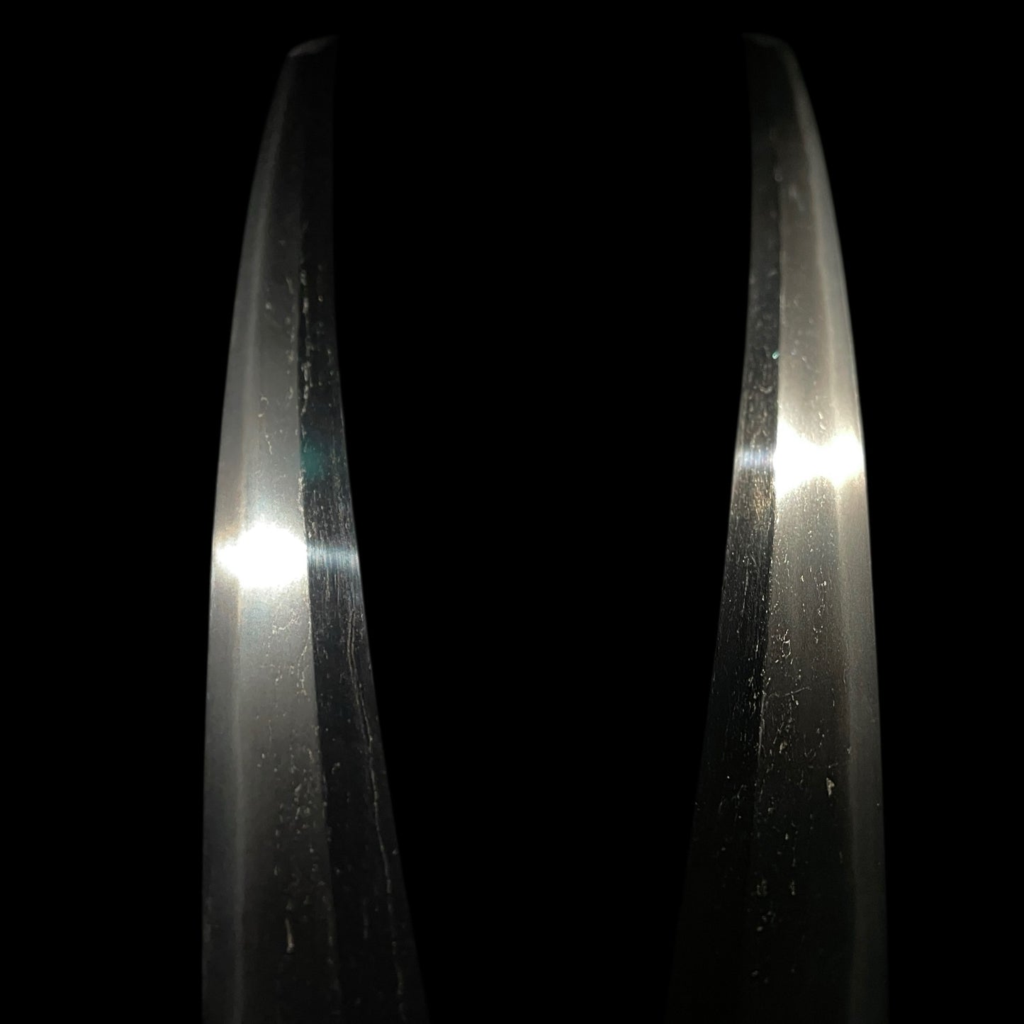 Echizenkoku Kanenori 越前国兼則 signed Wakizashi, Bee Menuki and Iron Fittings