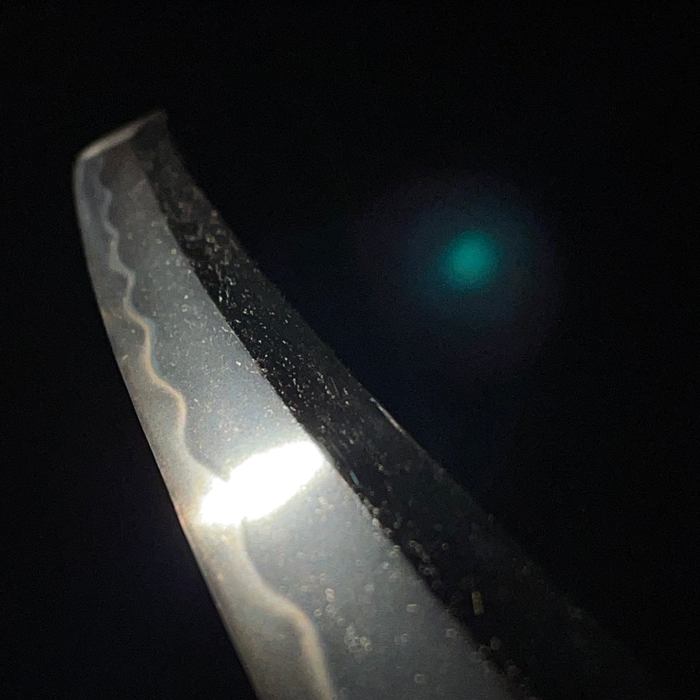 Dragon Fittings WAKIZASHI, Edo period mumei, with Shirasaya