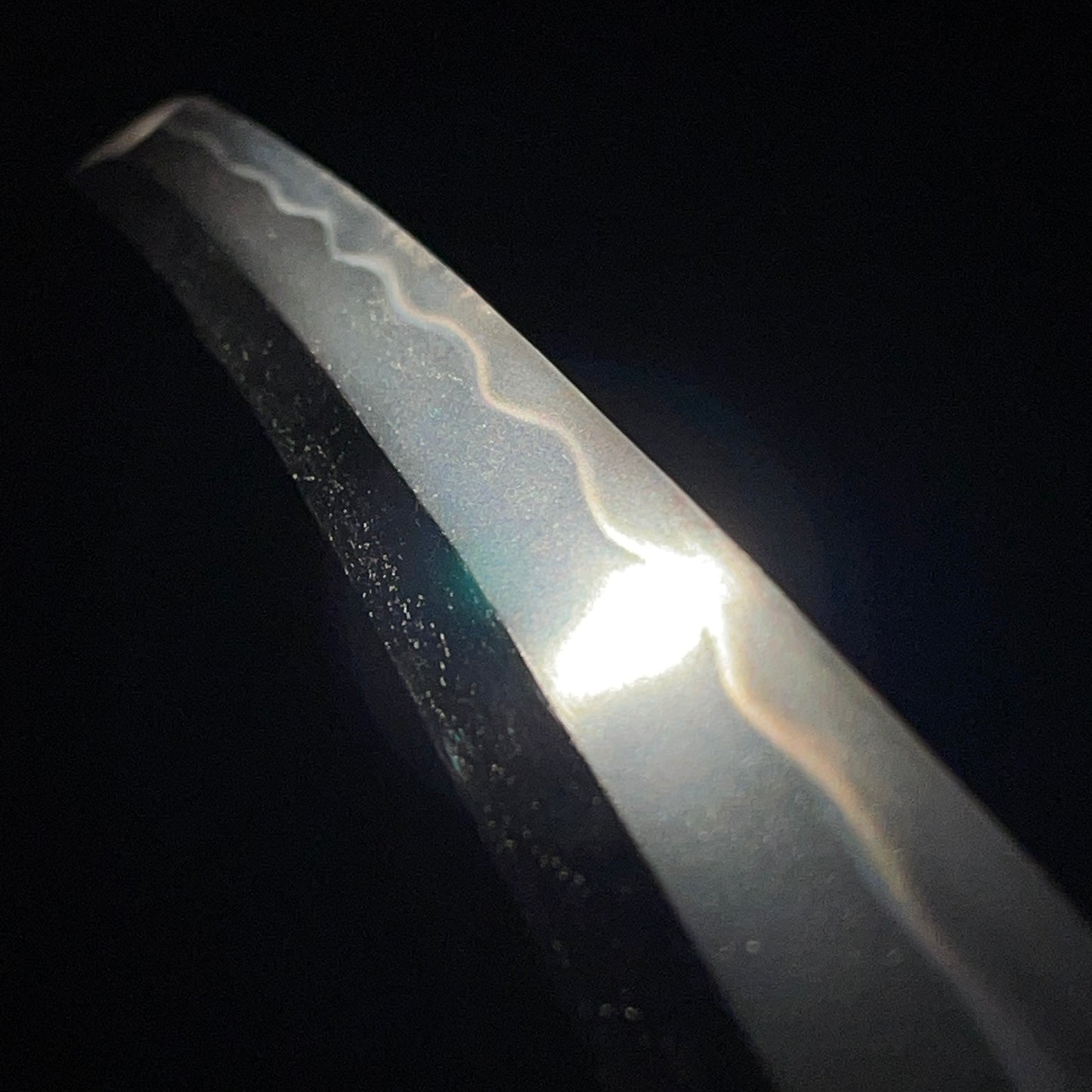 Dragon Fittings WAKIZASHI, Edo period mumei, with Shirasaya