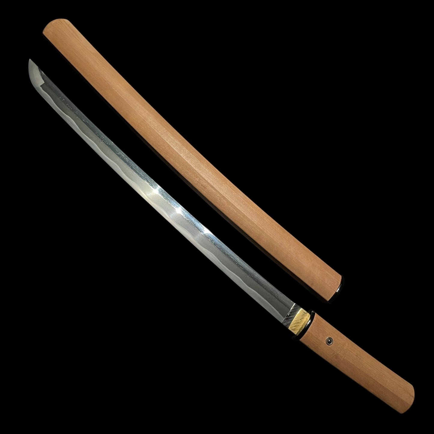 Dragon Fittings WAKIZASHI, Edo period mumei, with Shirasaya