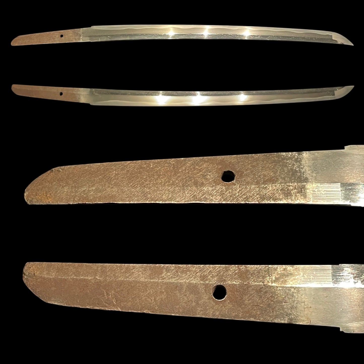 Dragon Fittings WAKIZASHI, Edo period mumei, with Shirasaya