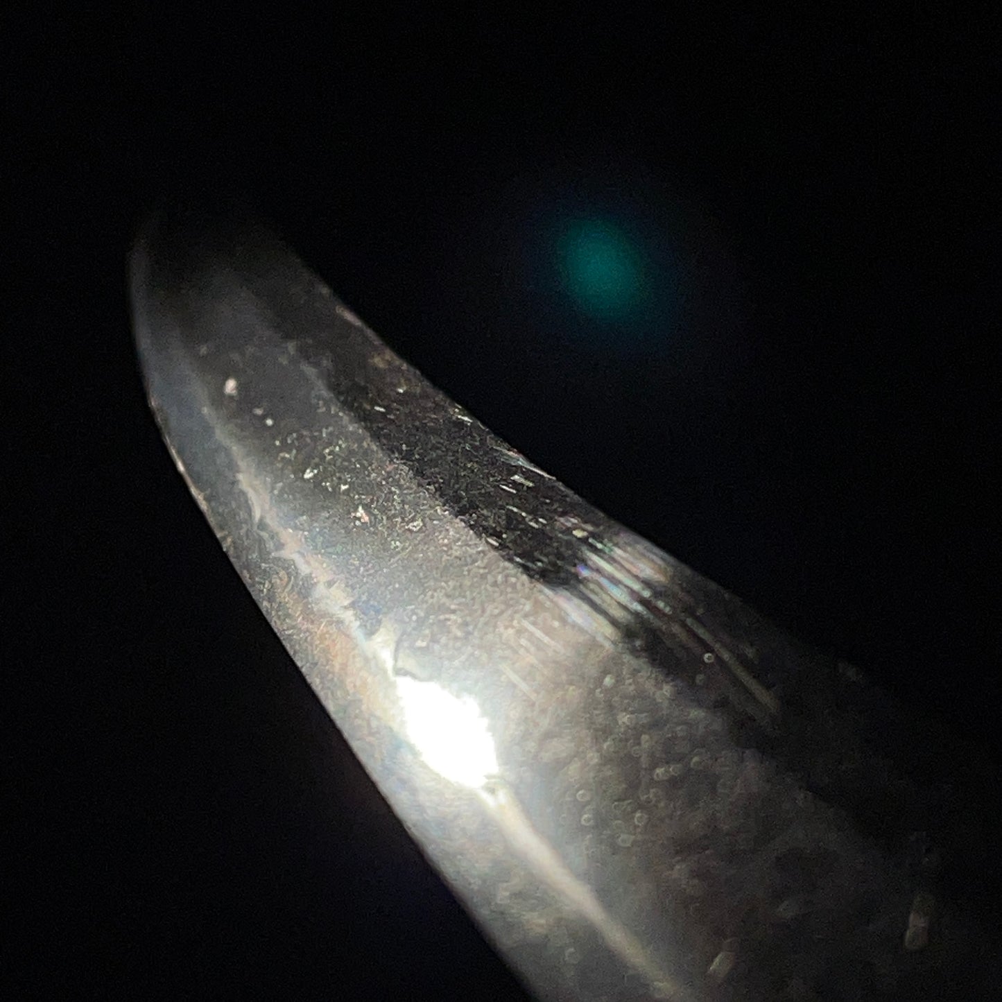 Kairagisaya 梅花皮鞘 Rayskin Scabbard WAKIZASHI, Persimmon Tsuba 柿透鍔, Edo period