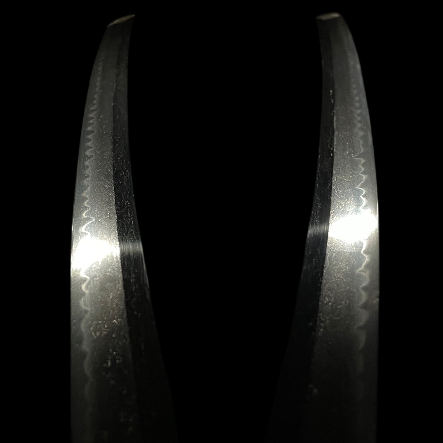 Harimanokami Teruhiro 播磨守輝廣 signed WAKIZASHI, Hamano shozui 濱野政随 Fuchi