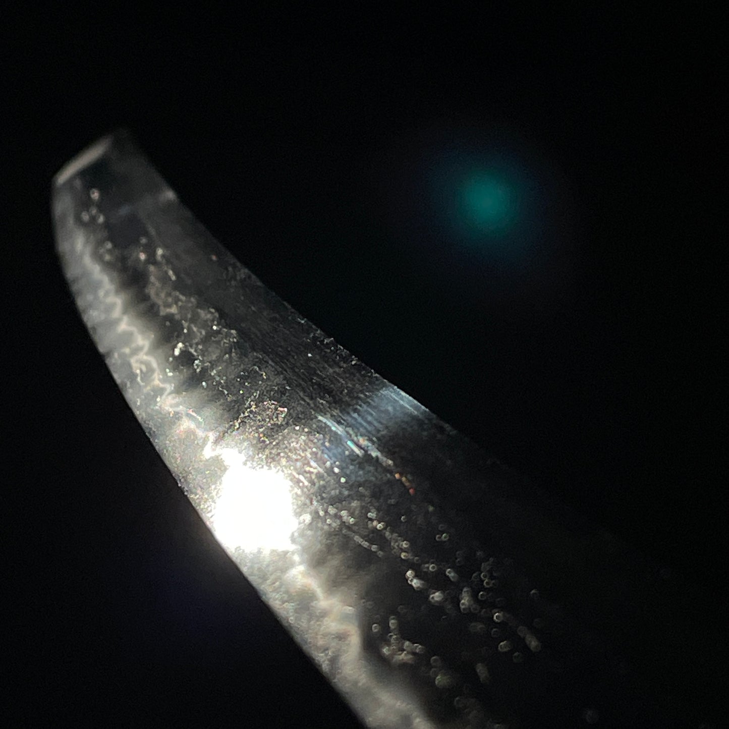 Fujishima 藤島 Wakizashi, with Shirasaya and NBTHK Certificate, Edo period