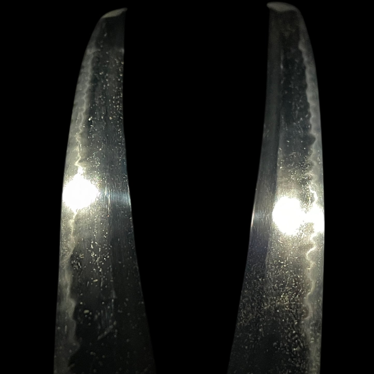 Fujishima 藤島 Wakizashi, with Shirasaya and NBTHK Certificate, Edo period