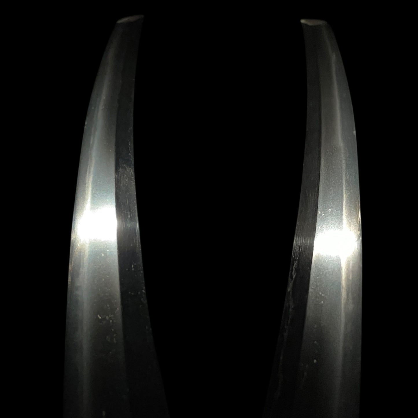 Tengu-Kashira 貞行 Sadayuki signed Wakizashi, Tsuchiya Shomin 土屋正珉 signed Fuchi