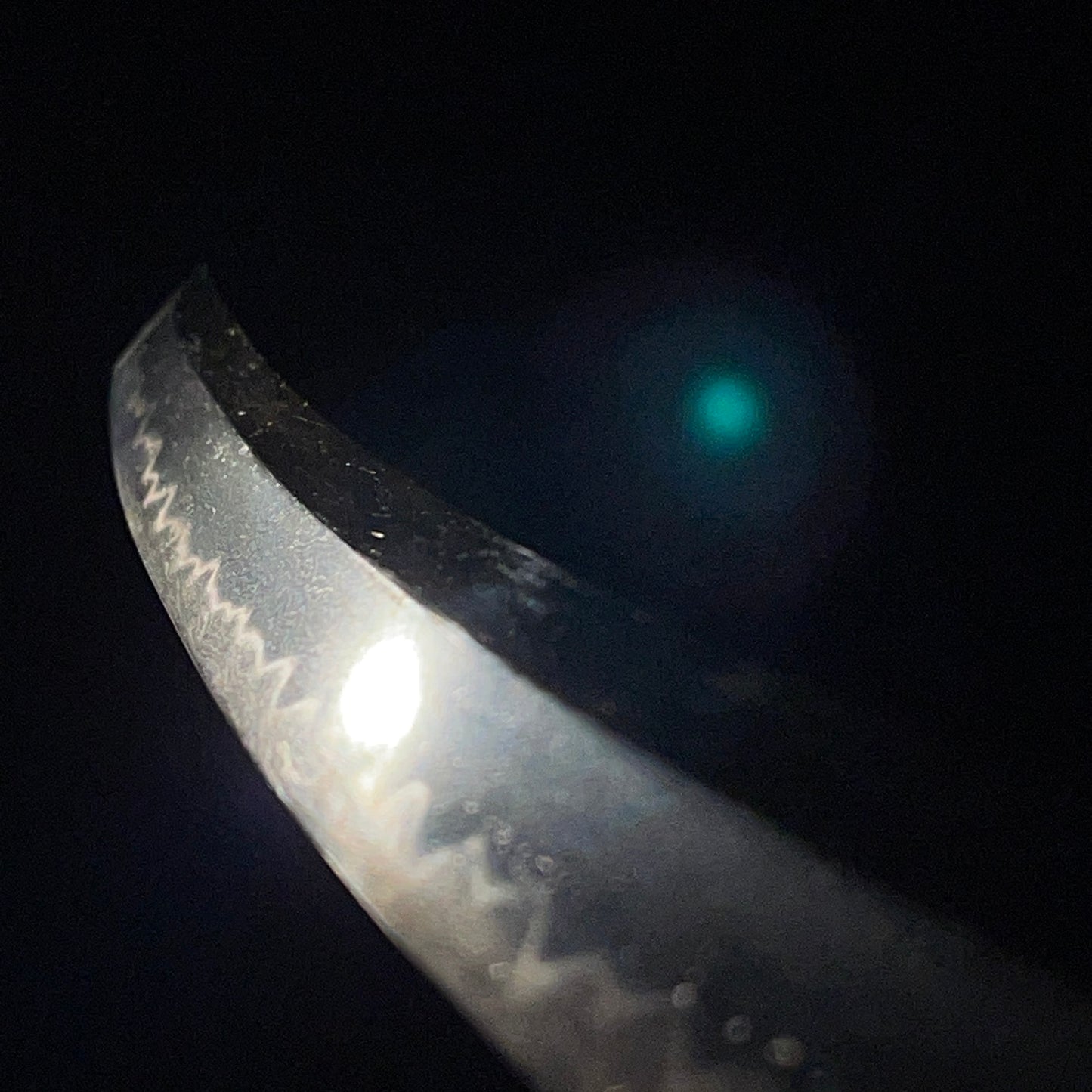 Peony Fittings Takada 高田 Wakizashi, Early Edo period, NBTHK Certificate