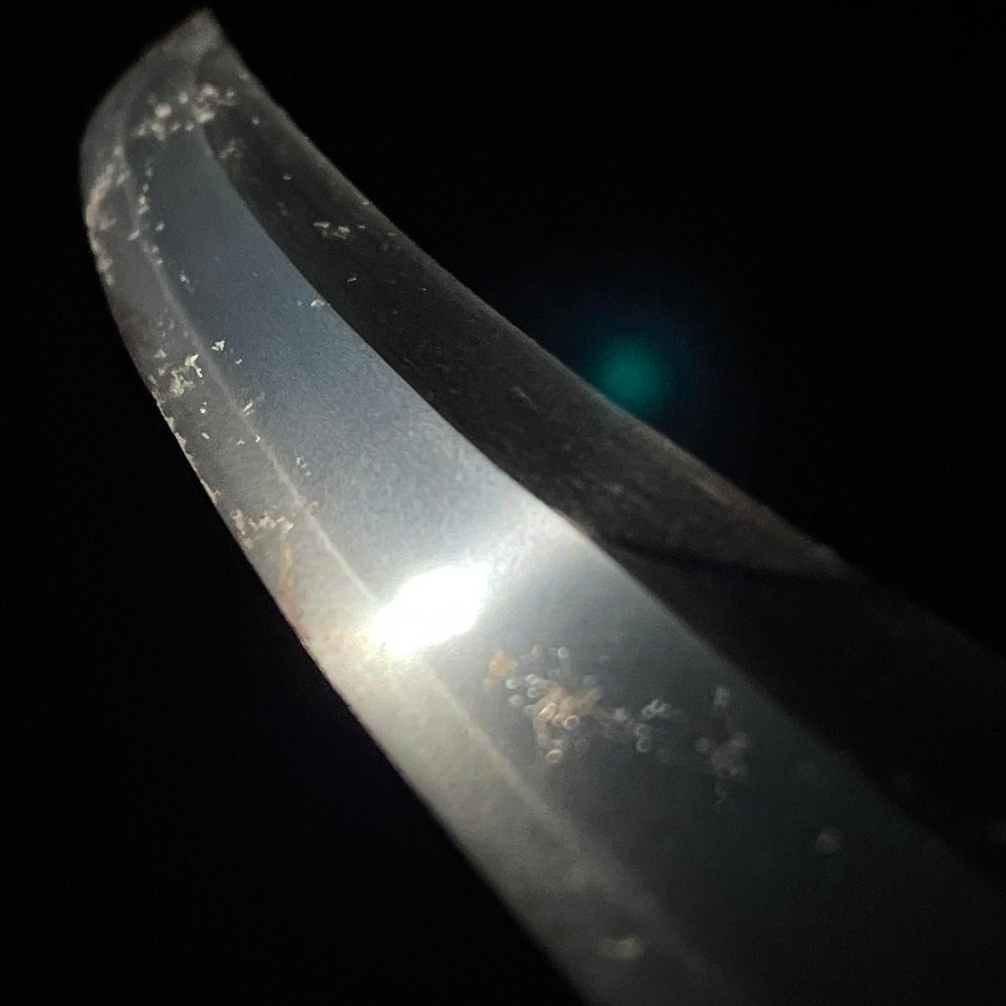 Shobuzukuri Wakizashi 菖蒲造脇差, High-Grade Tsukamae Edo period mumei